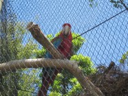 IMG_3210